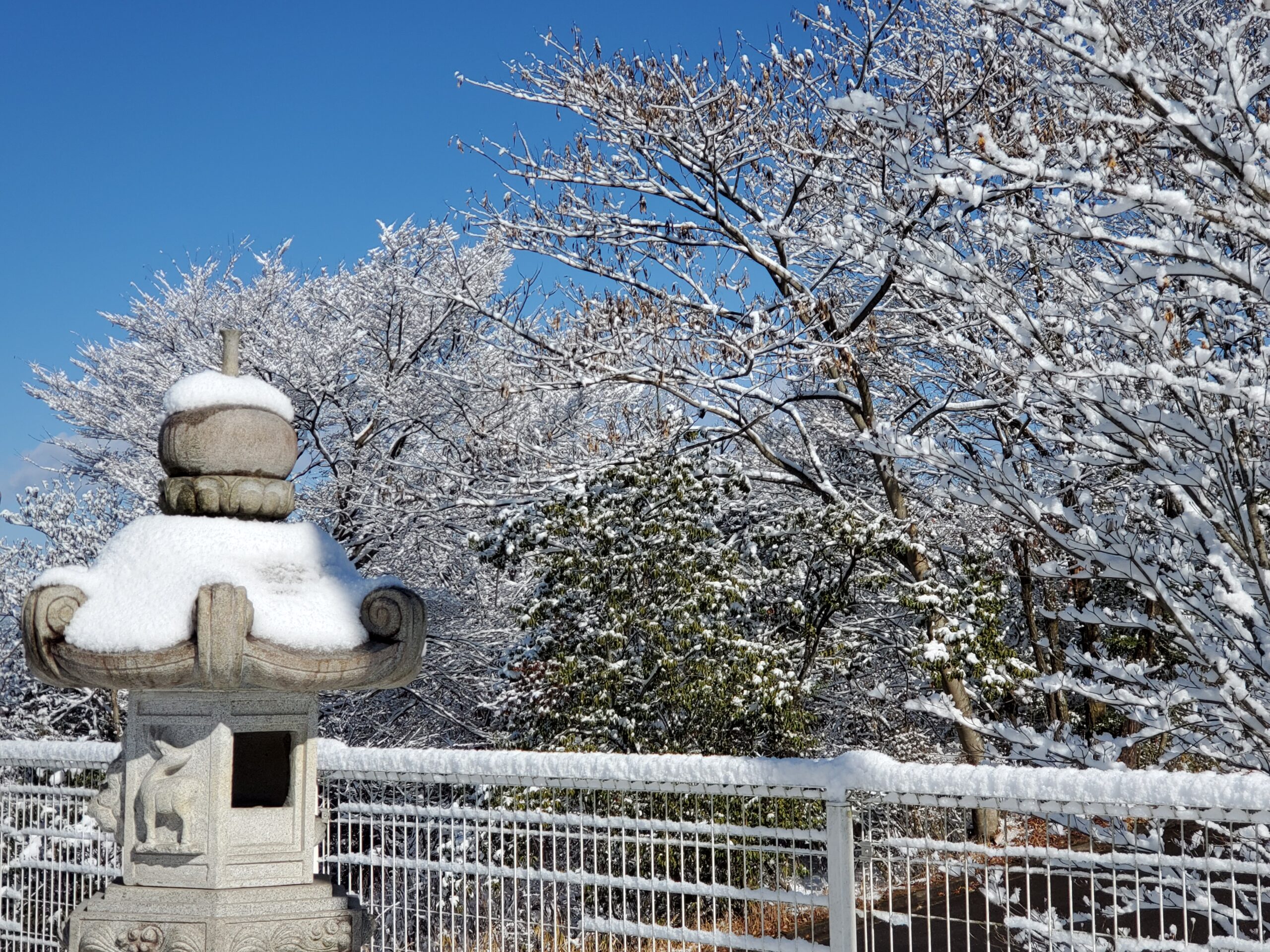 冬の風景