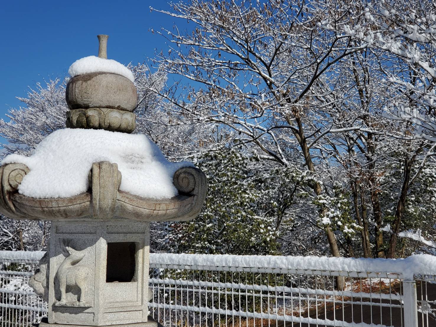 雪積る2月の風景